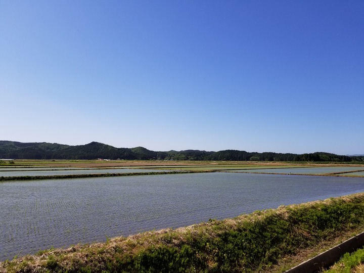 20190530_144950