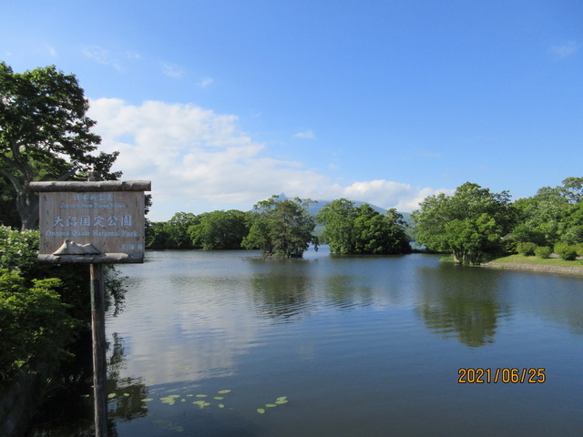 IMG_6791