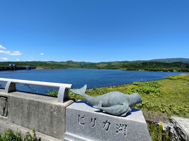 IMG20230619104635