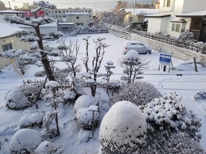 20190314_064443