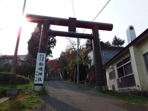 DSCF7554