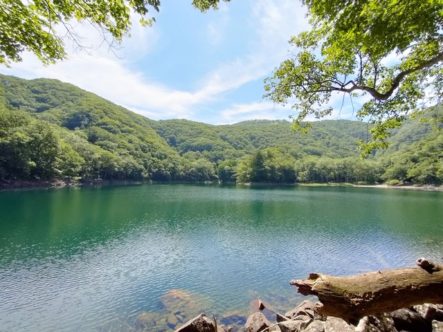 IMG20250708093642