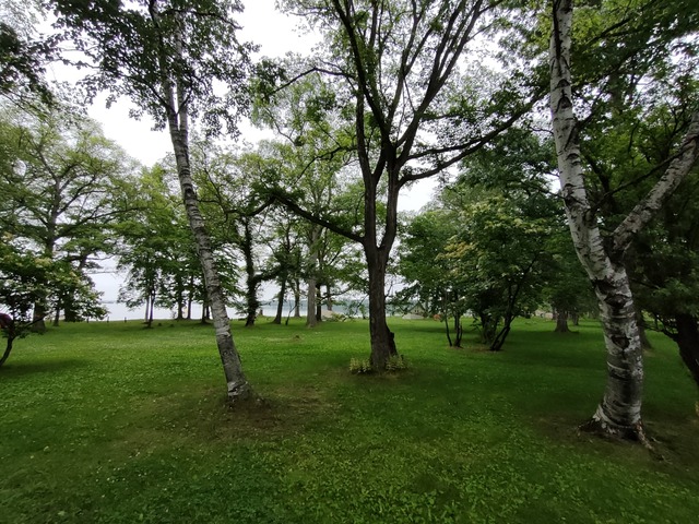 IMG20240710065856
