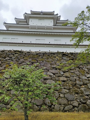 IMG20230523092926