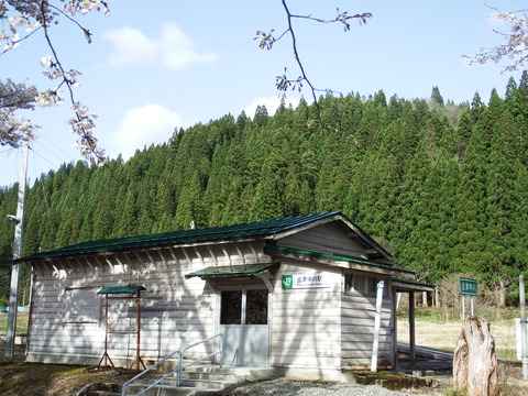DSCF4994