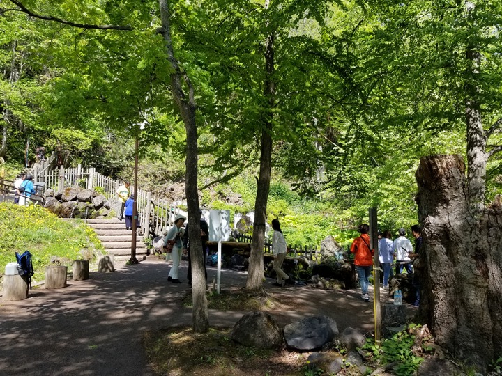 20190525_091220