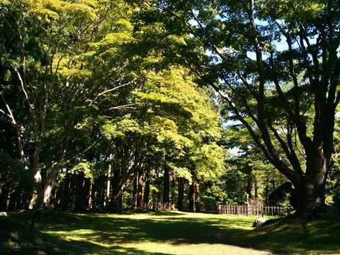 [画像:1a7db94b-s.jpg]