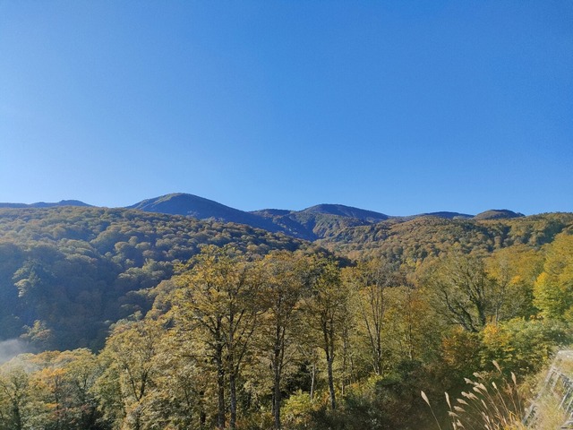 IMG20221014074102