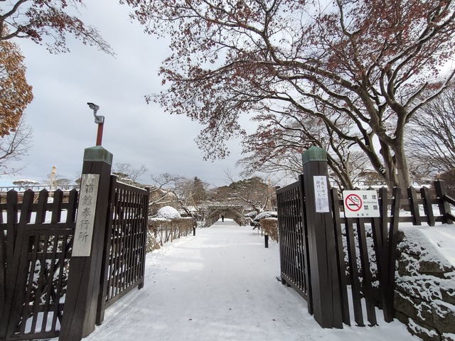 IMG20240111092230