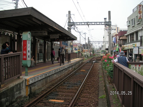 RIMG3880