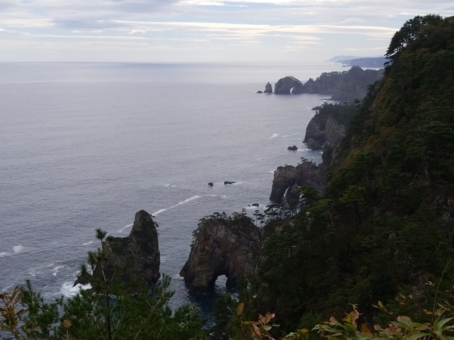 IMG_20211015_112705
