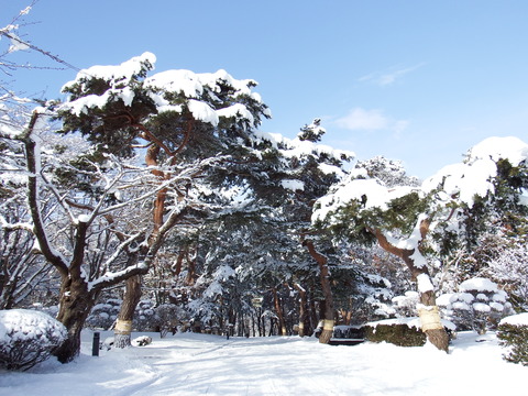 DSCF7193