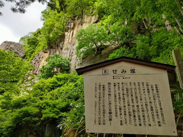 IMG20230524115003