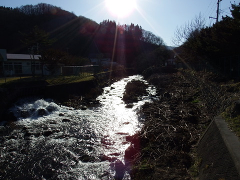 DSCF3498
