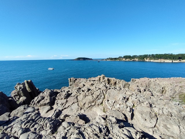 IMG20241010141903