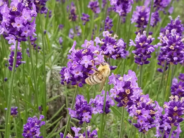 IMG_20210709_133722