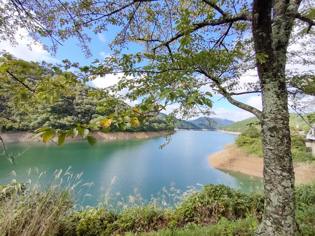 IMG20241009091552