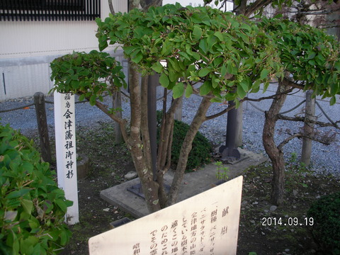 RIMG4059