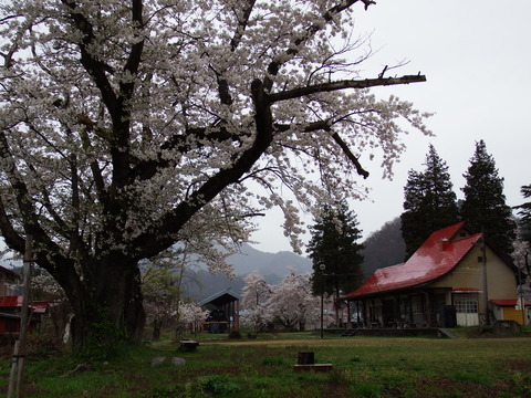 DSCF4952