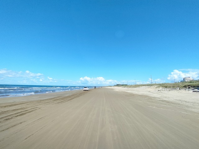 IMG20241011115550