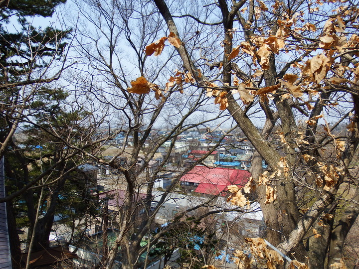 DSCF7999