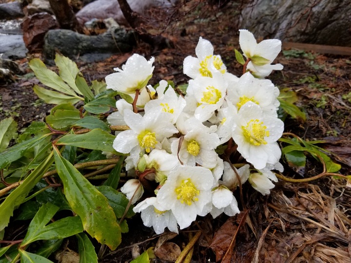 20190311_150830