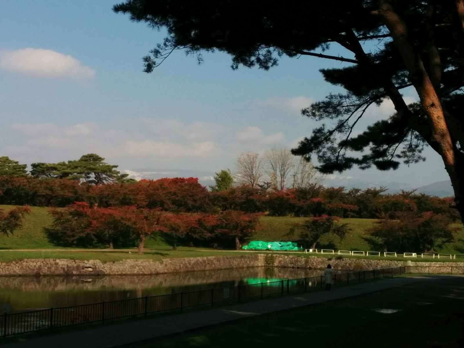 [画像:20b4b3de-s.jpg]