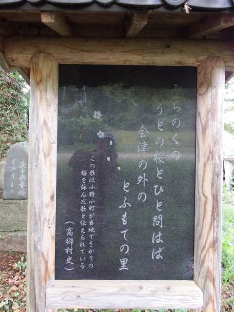 DSCF6620