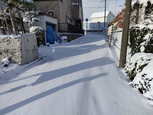 IMG20231125081638