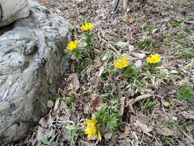 IMG20240401121013