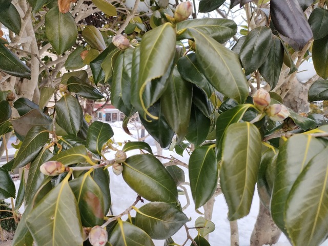 IMG20230202113836