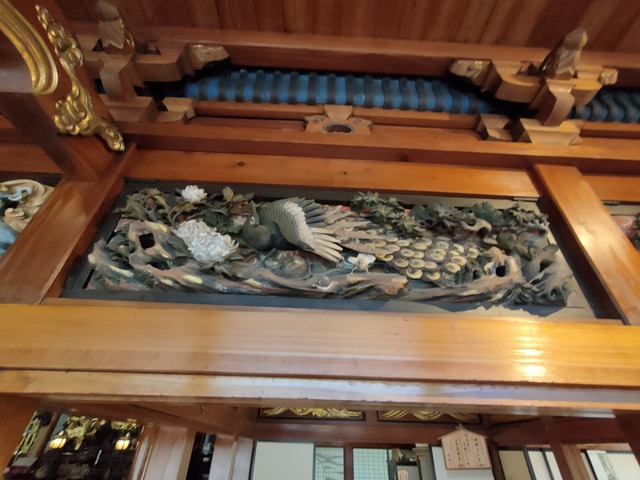 IMG20240518094314