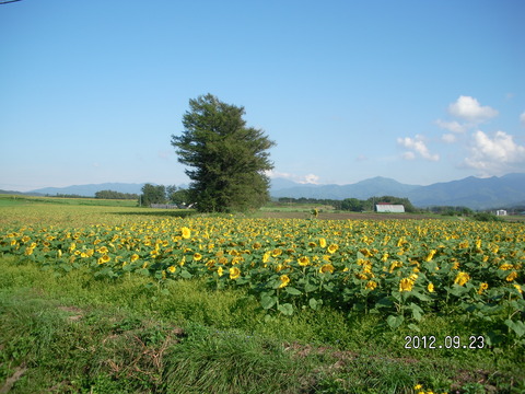 RIMG0708