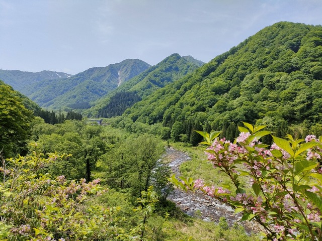 IMG20230521095729