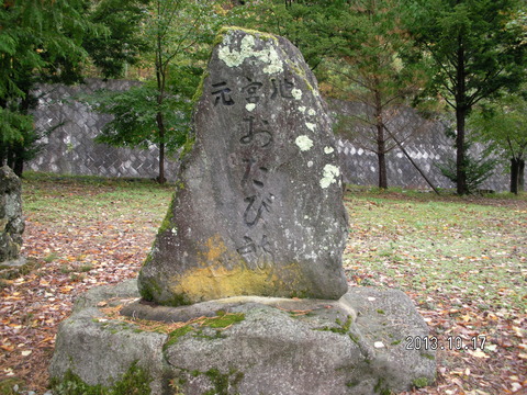RIMG2490