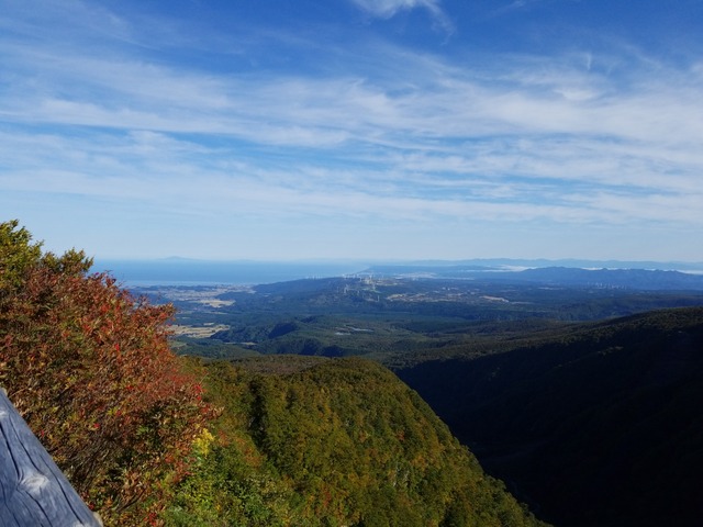 IMG_20211009_080450