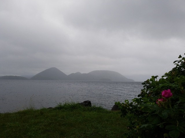 IMG_20220715_053901