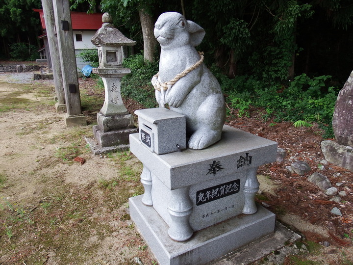 DSCF8675