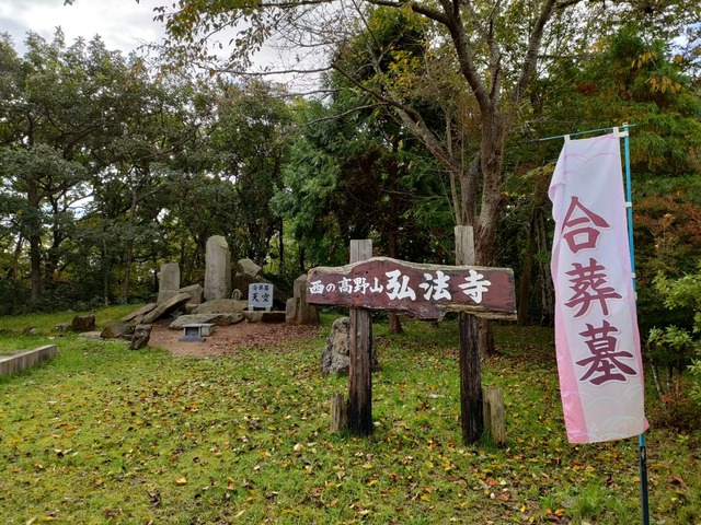 IMG20221017092547