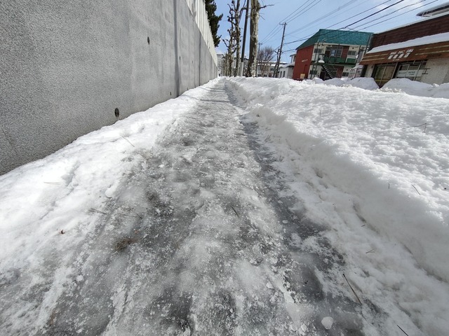 IMG20230202104915