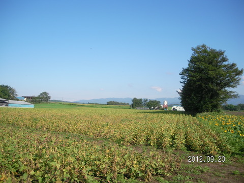 RIMG0709