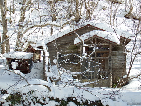 DSCF7668