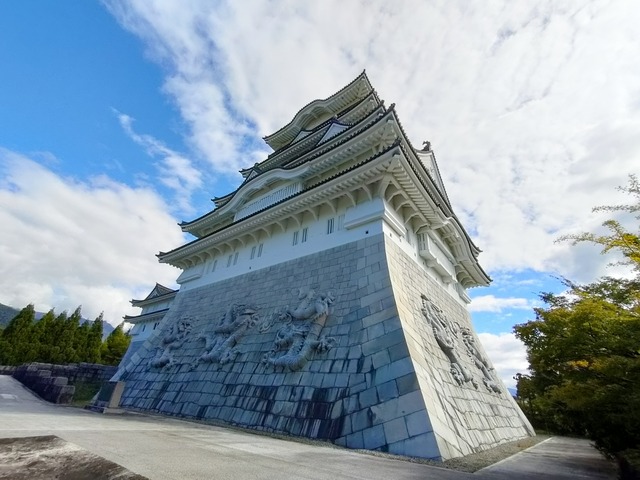 IMG20241009134008