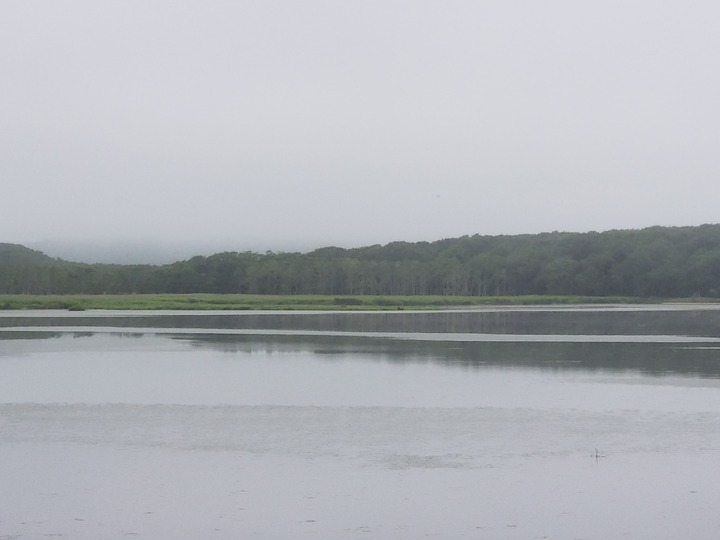 20200721_074726