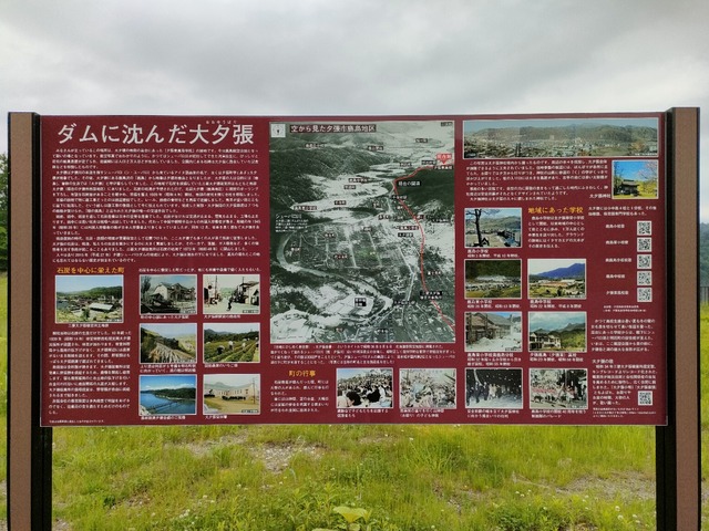 IMG20230617124929
