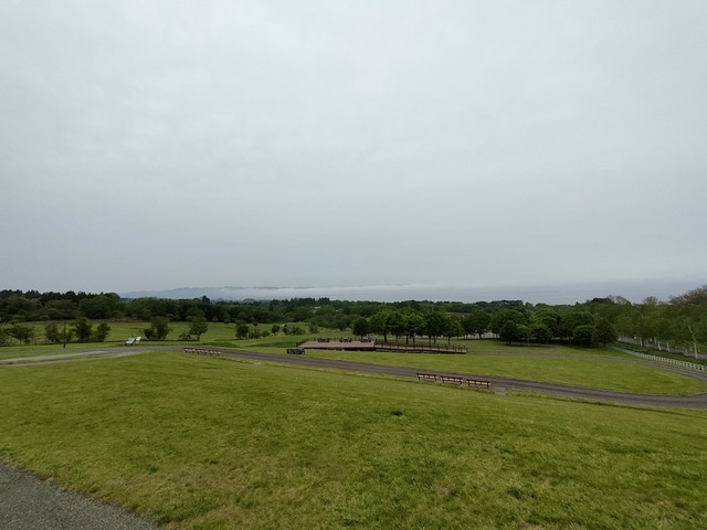 IMG20260521130554