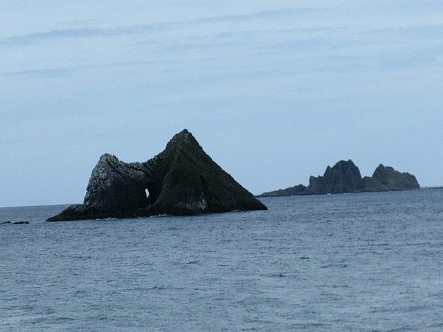 IMG20260524075759