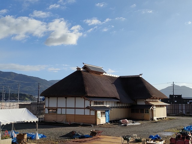 IMG20231017071546