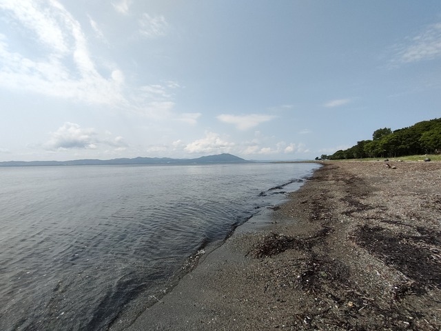 IMG20240711095428