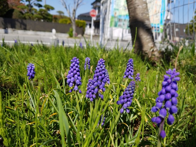 IMG_20220417_095357